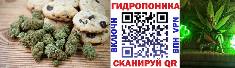 hydra ТОР  Суздаль  Печенье с ТГК конопля 
