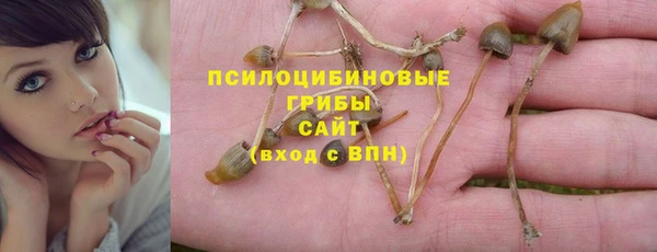 гашик Магас