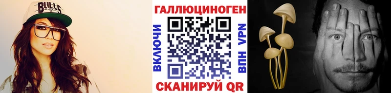 купить наркоту  нарко площадка наркотические препараты  Галлюциногенные грибы прущие грибы  Суздаль  kraken  